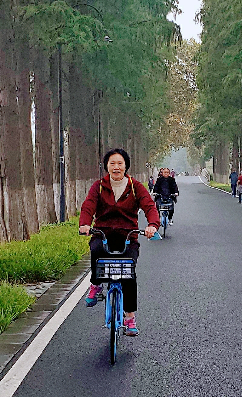 东湖绿道骑行 参考图 1